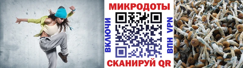 купить наркотики сайты  Саров  гидра сайт  Псилоцибиновые грибы ЛСД 